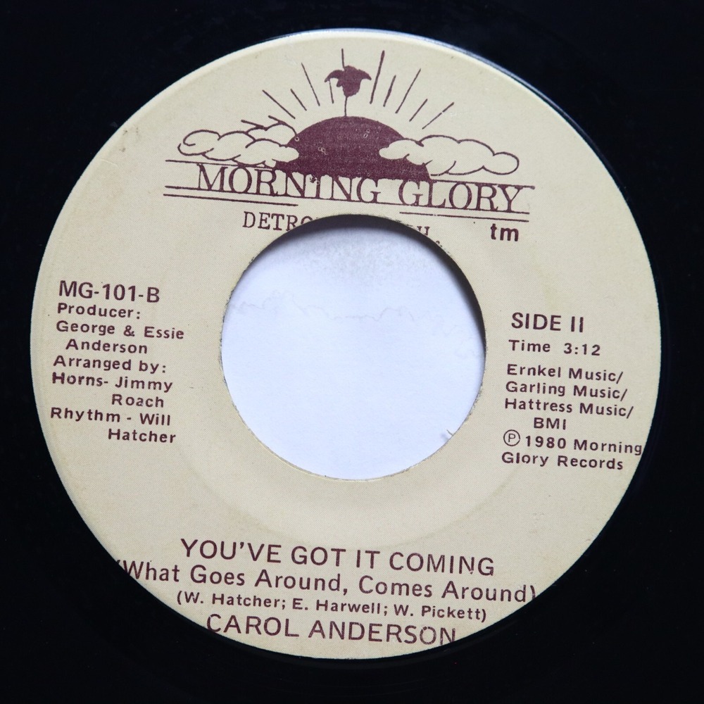 CAROL ANDERSON - YOU'VE GOT T COMING / PARTY PEOPLE - SOUL 45